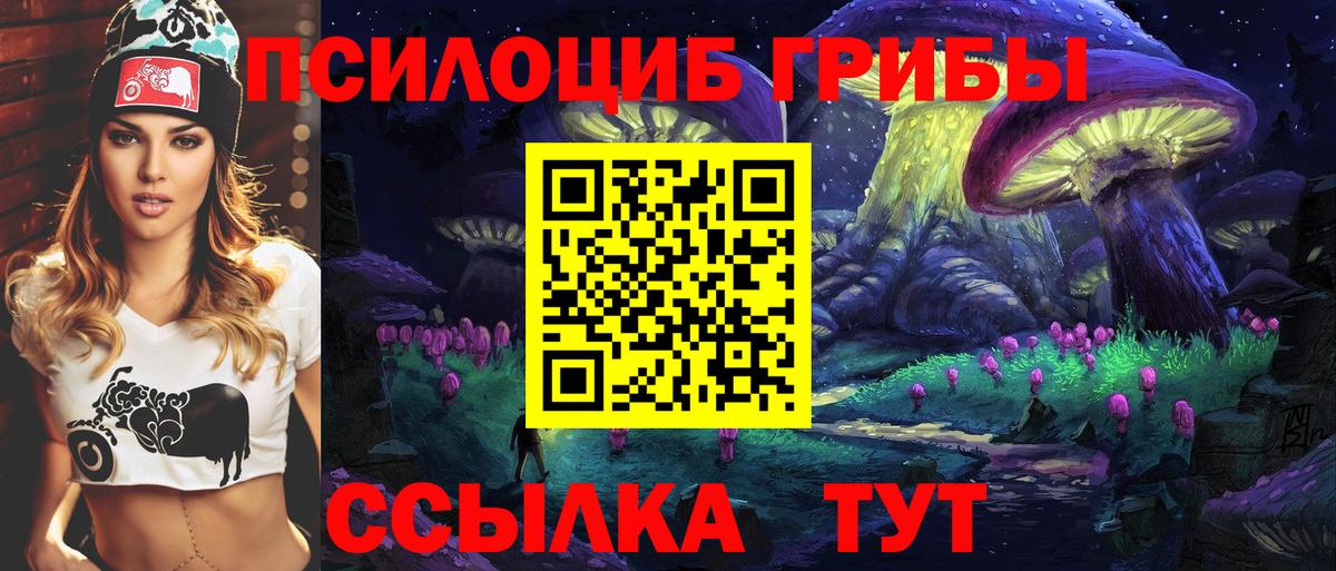 Галлюциногенные грибы Psilocybe  Вход с VPN  закладки  Братск 
